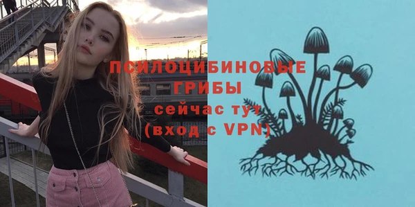 гидропоника Каменск-Шахтинский