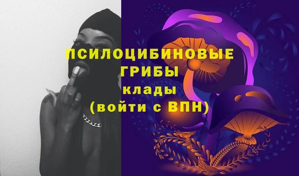таблы Каменногорск