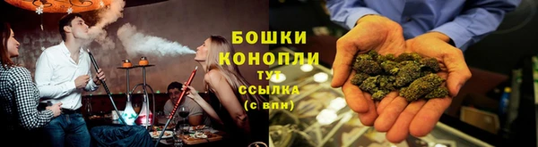 2c-b Каменка