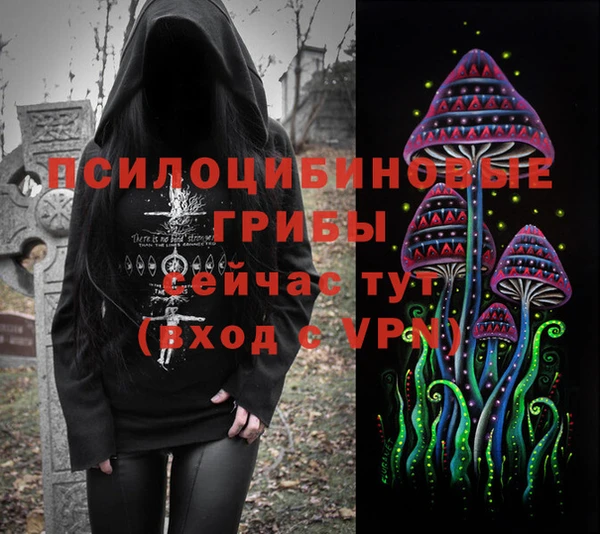 таблы Каменногорск