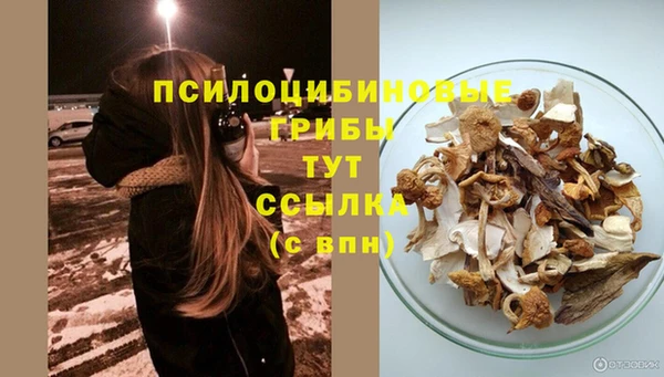 гидропоника Нязепетровск