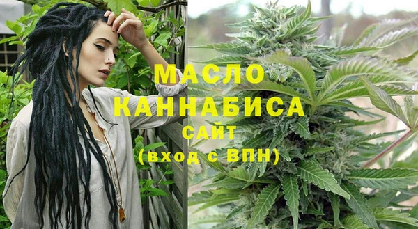 2c-b Каменка