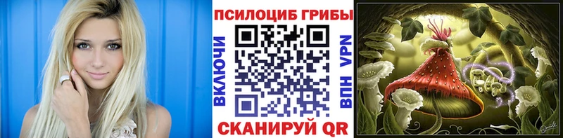 где купить наркоту  Пенза  Галлюциногенные грибы мухоморы 